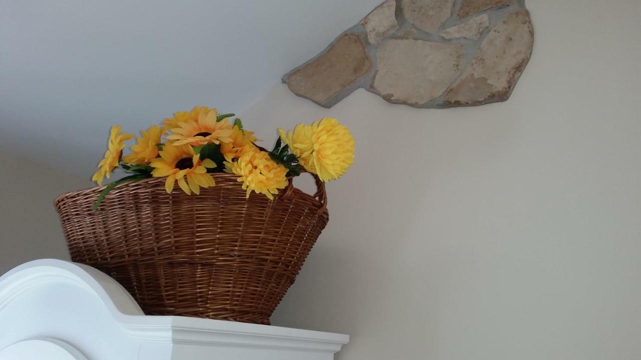 B&B Villa Blanche 칸느 외부 사진